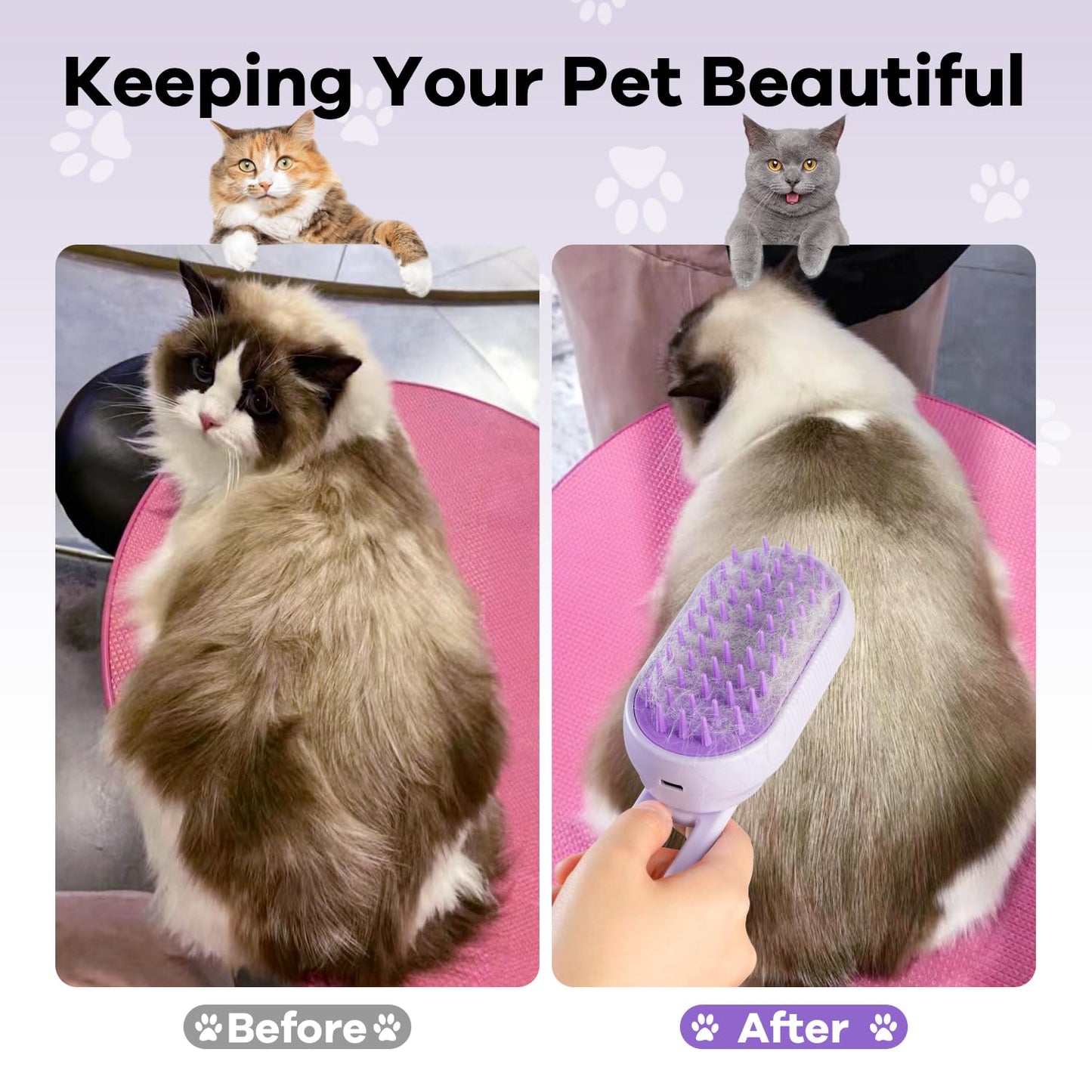 4 in 1 Cat Steam Brush with Foldable Handle for Shedding
