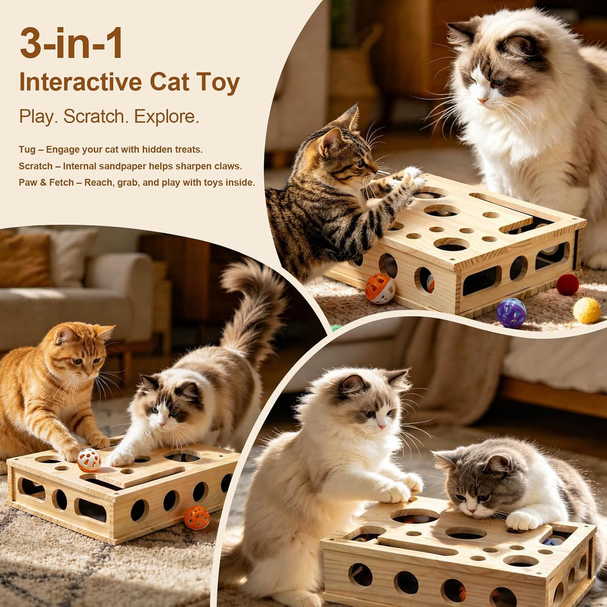 Cat Scratch Puzzle Enrichment Box