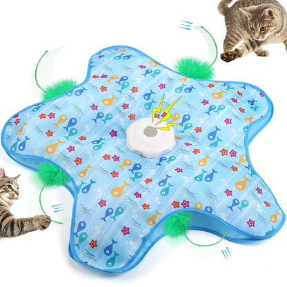 Hide and Seek Interactive Cat Toys