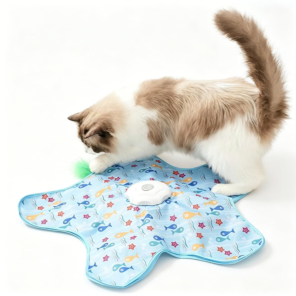 Hide and Seek Interactive Cat Toys