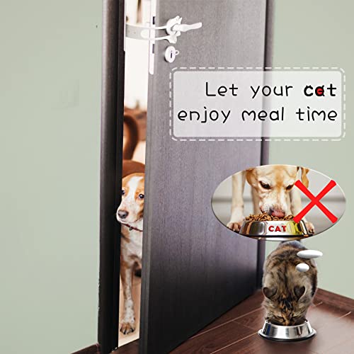 Cat Door Latch Holder