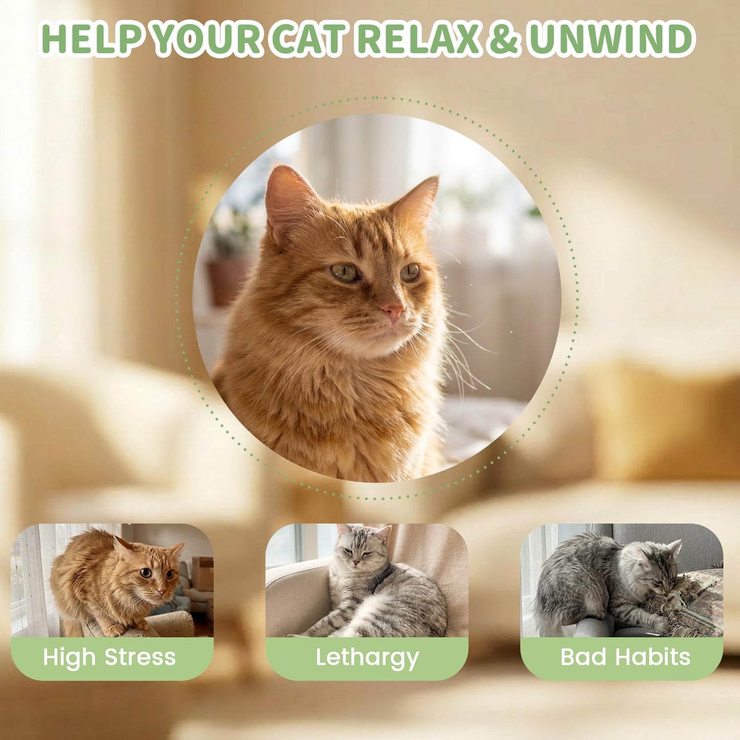 3-Pack Funny Cat Chew Toys Filled with 100% Pure Organic Catnip