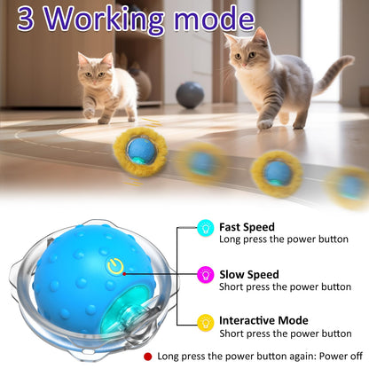 2-in-1 Cat Hunting Set: Hunting Cover & Hunting Ball
