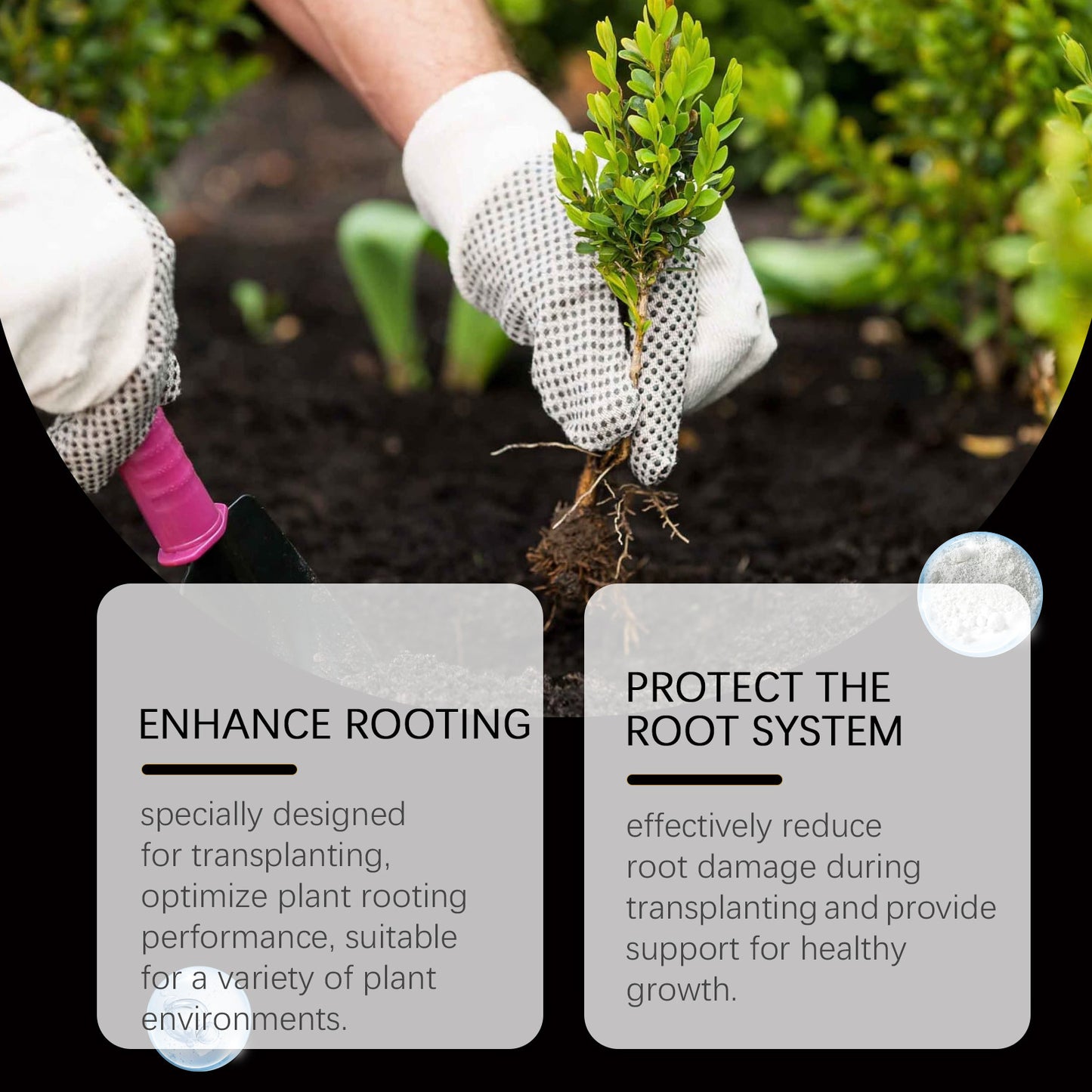 Rooting Nutrient Powder For Trees And Fruit Trees - Accelerates Root Development