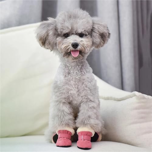 Winter Dog Shoes