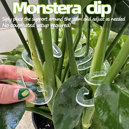 5-Pack Clear Flexible Plant Support Clips
