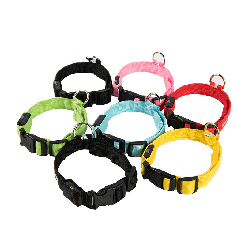 LED Dog Collars Rechargeable Light Up for Night