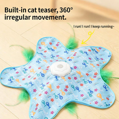 Hide and Seek Interactive Cat Toys