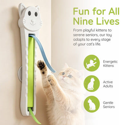 Cat Toy USB Rechargeable Two-Speed Play