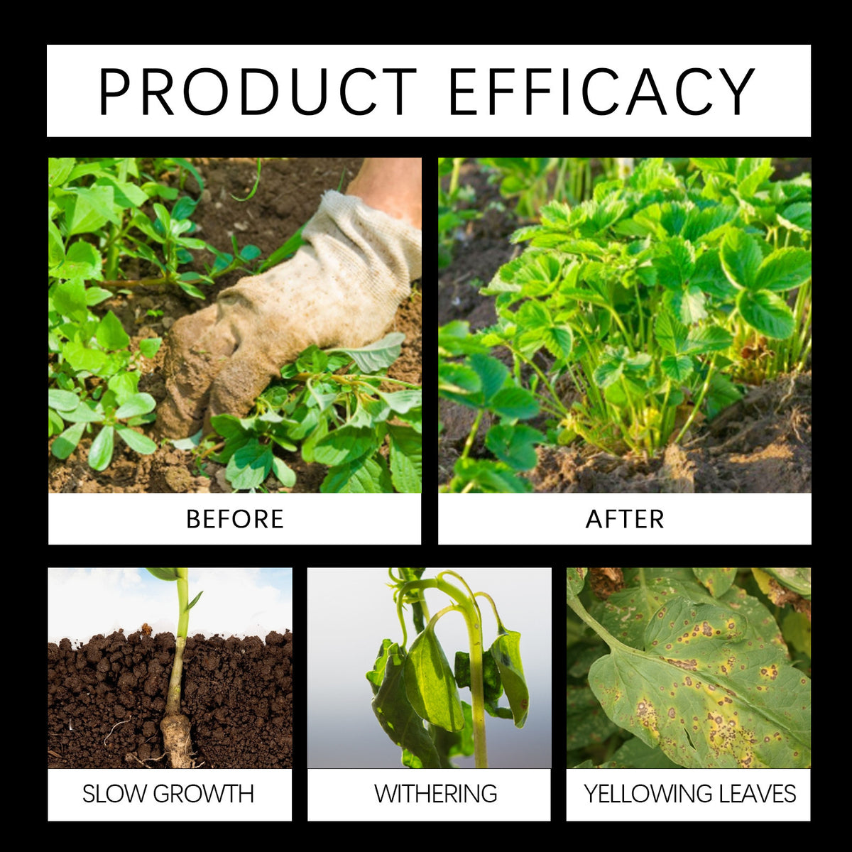 Rooting Nutrient Powder For Trees And Fruit Trees - Accelerates Root Development