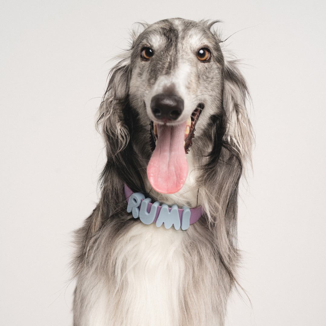 Personalized Waterproof Silicone Dog Collar with Name