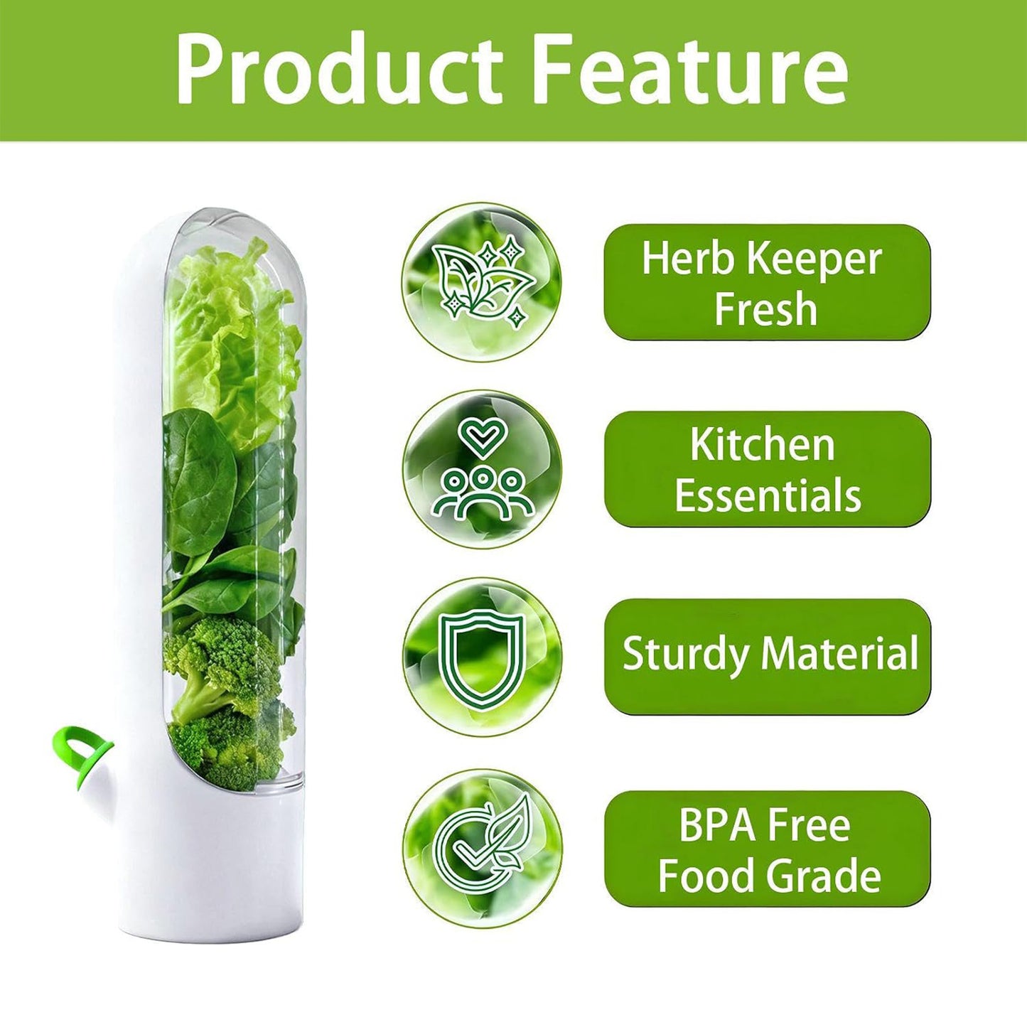 Herb Saver for Refrigerator – Fresh Herb Keeper & Storage Container for Cilantro, Basil, Asparagus & More