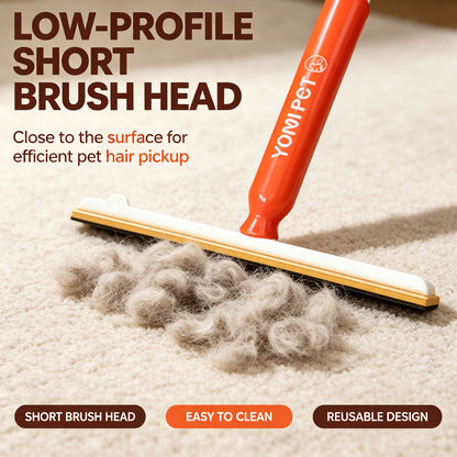 Pet Hair Remover for Carpets & Rugs