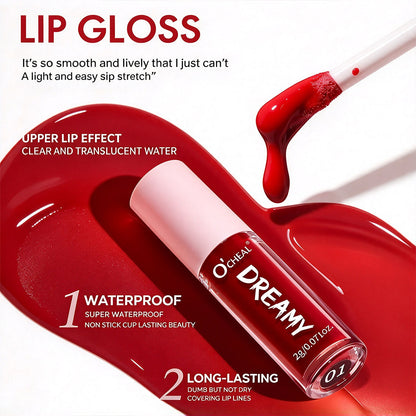 10 Highly Pigmented Velvet Matte Lip Gloss Set