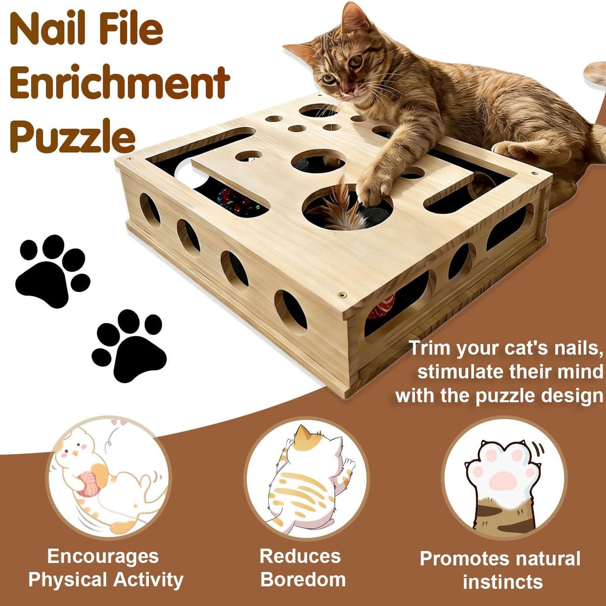 Cat Scratch Puzzle Enrichment Box