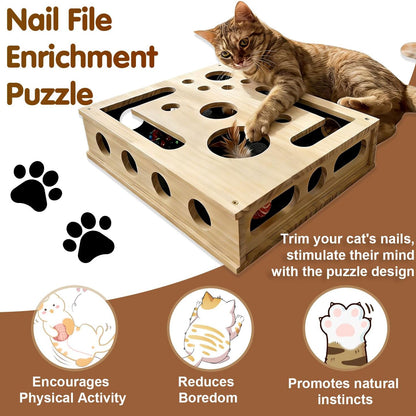 Cat Scratch Puzzle Enrichment Box