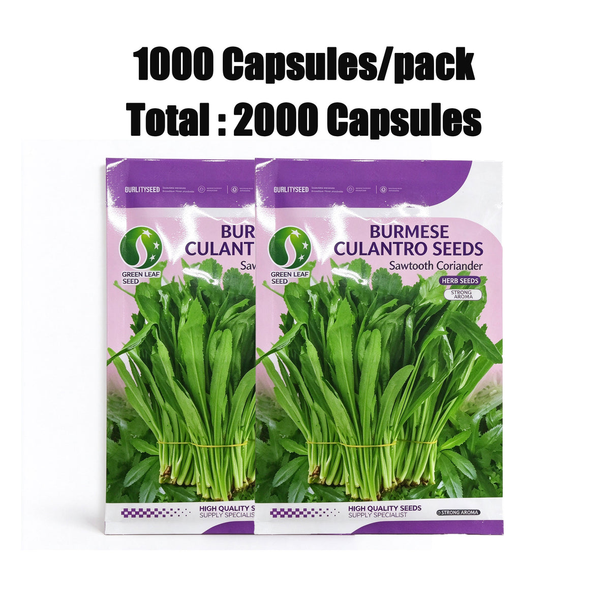 2000 Culantro Seeds - Strong Cilantro Flavor,  High Germination Herbs Seed