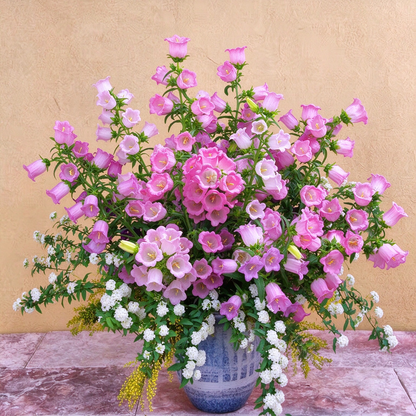 1000+ Campanula Bells Flower for Planting