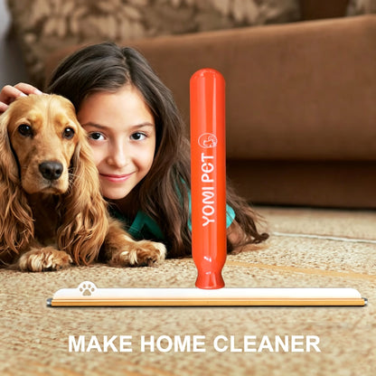 Pet Hair Remover for Carpets & Rugs