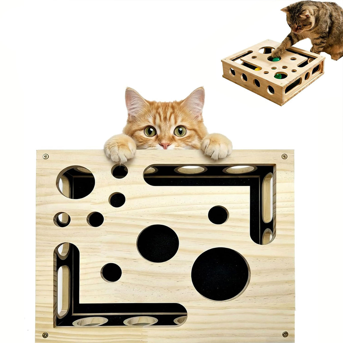 Cat Scratch Puzzle Enrichment Box