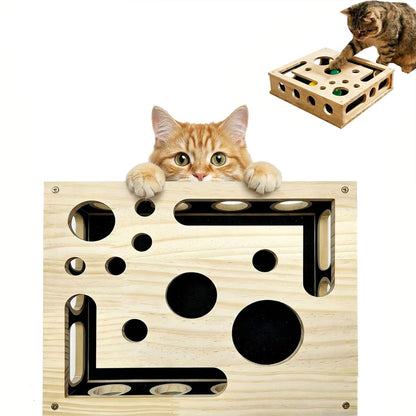 Cat Scratch Puzzle Enrichment Box