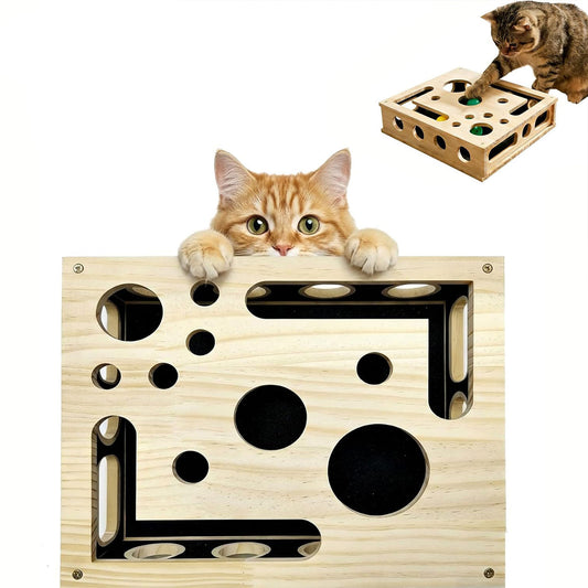 Cat Scratch Puzzle Enrichment Box
