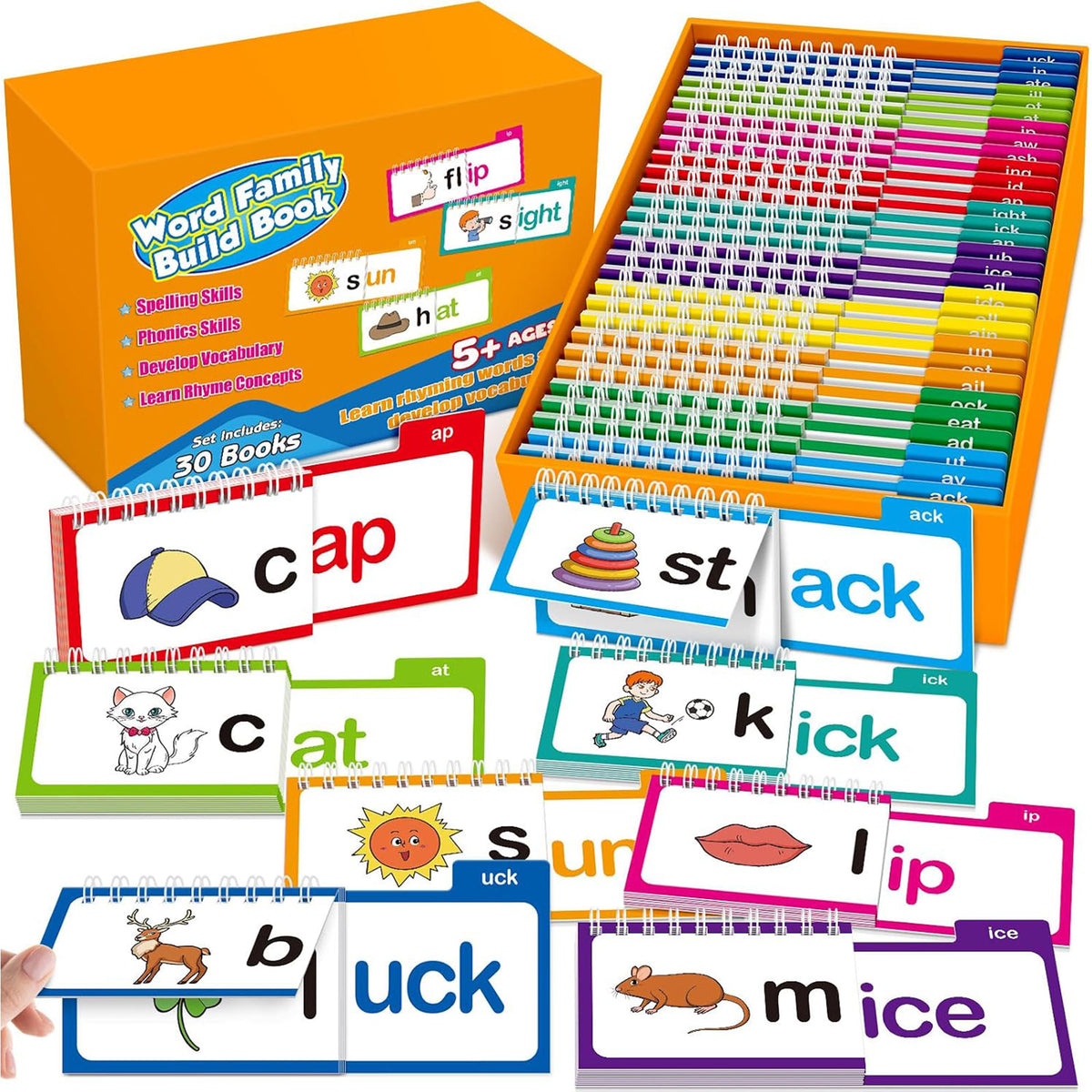 Phonics Flash Cards Word Family Build Book 30 Flip Books