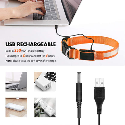 LED Dog Collars Rechargeable Light Up for Night