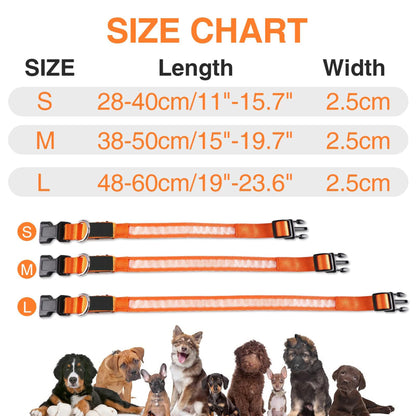 LED Dog Collars Rechargeable Light Up for Night