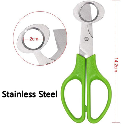 Quail Egg Scissors – Stainless Steel Scissors Specifically For Quail Eggs