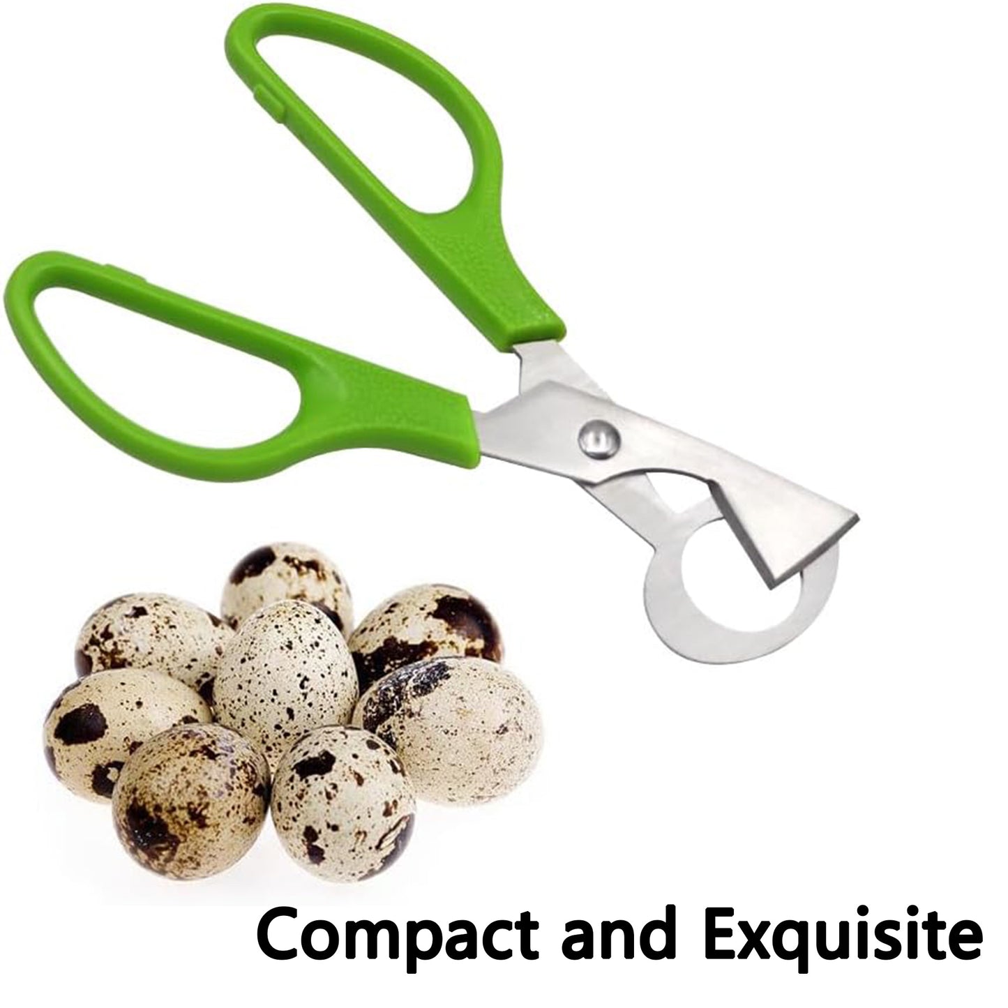 Quail Egg Scissors – Stainless Steel Scissors Specifically For Quail Eggs
