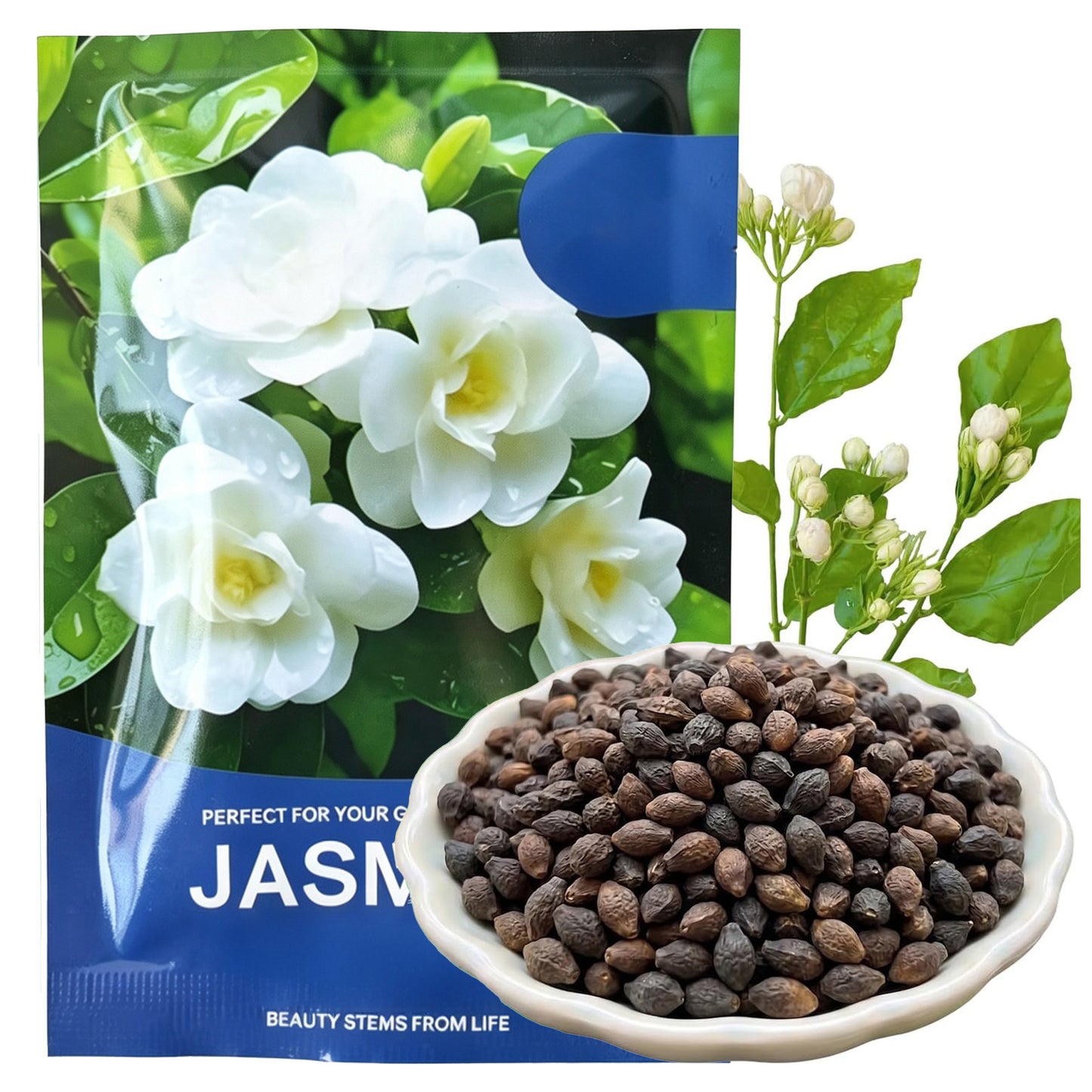 Jasmine Flower Fragrant Plant for Planting