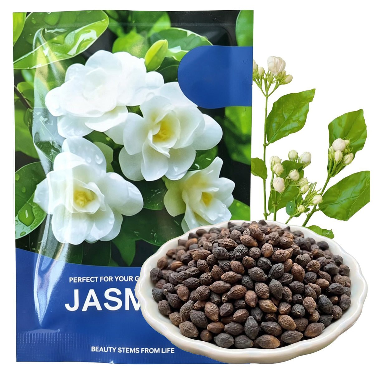 Jasmine Flower Fragrant Plant for Planting