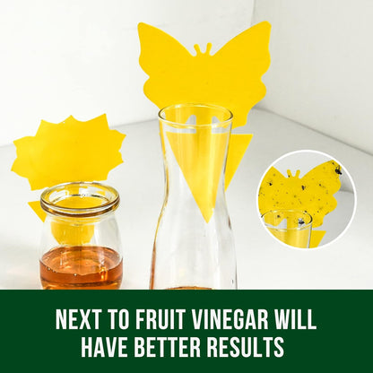 24 Pack Yellow Sticky Fruit Fly Traps – Fungus Gnat & Flying Insect Catchers for Indoor & Outdoor Plants