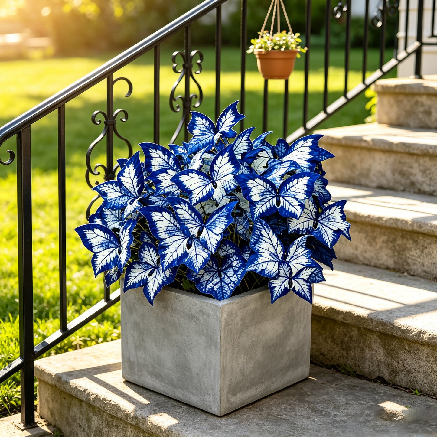 200 Pellets Blue White Butterfly Caladium for Indoor Windowsill Outdoor Garden Yard Decor