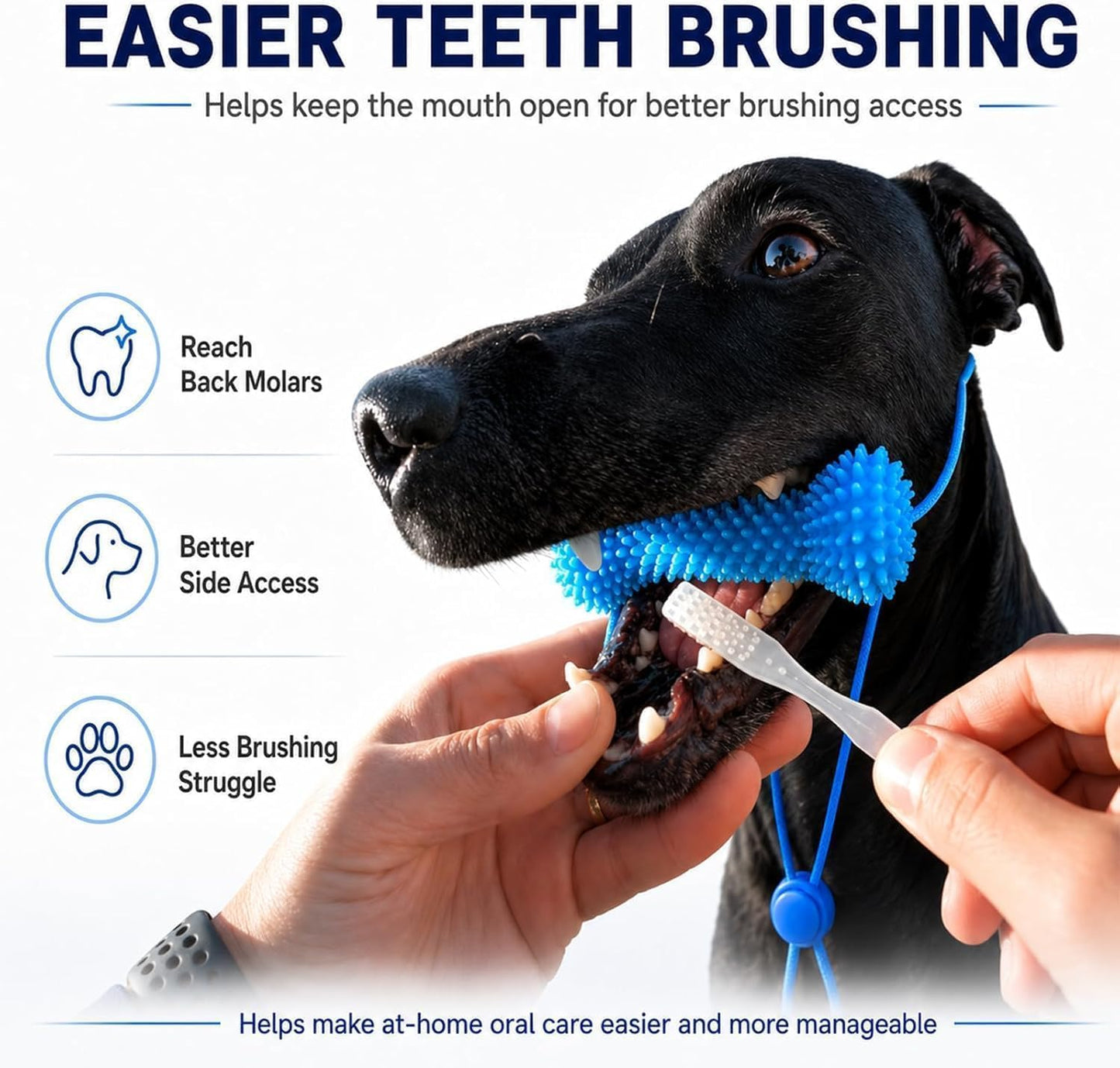 Dog Mouth Opener for Teeth Cleaning