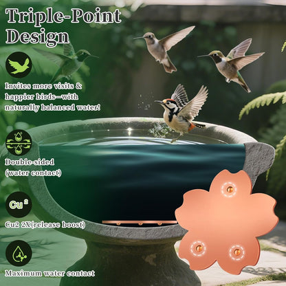 2 Pcs Copper Bird Bath Cleaner Disc – Flower Shaped Pure Copper Plate for Outdoor Bird Baths & Water Bowls