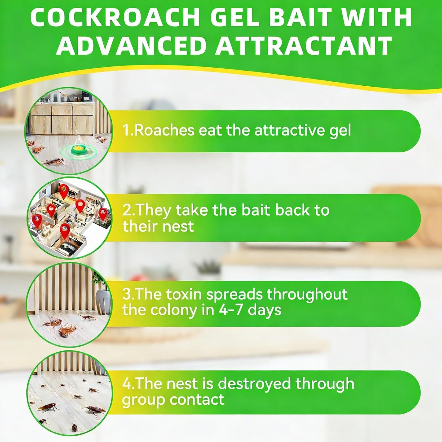 Cockroach-Luring Bait & Insecticide Patches – 3 Boxes (24 Pieces)