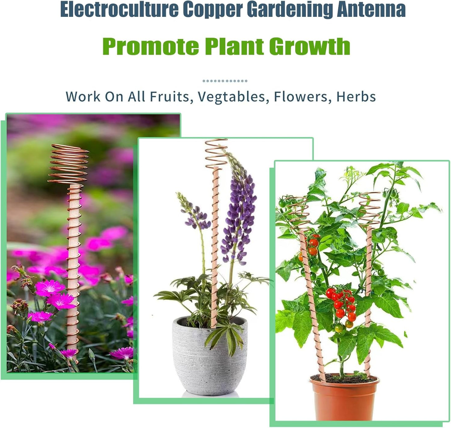 Electro-coil Antenna Plant Support for High-yield Vegetable Cultivation