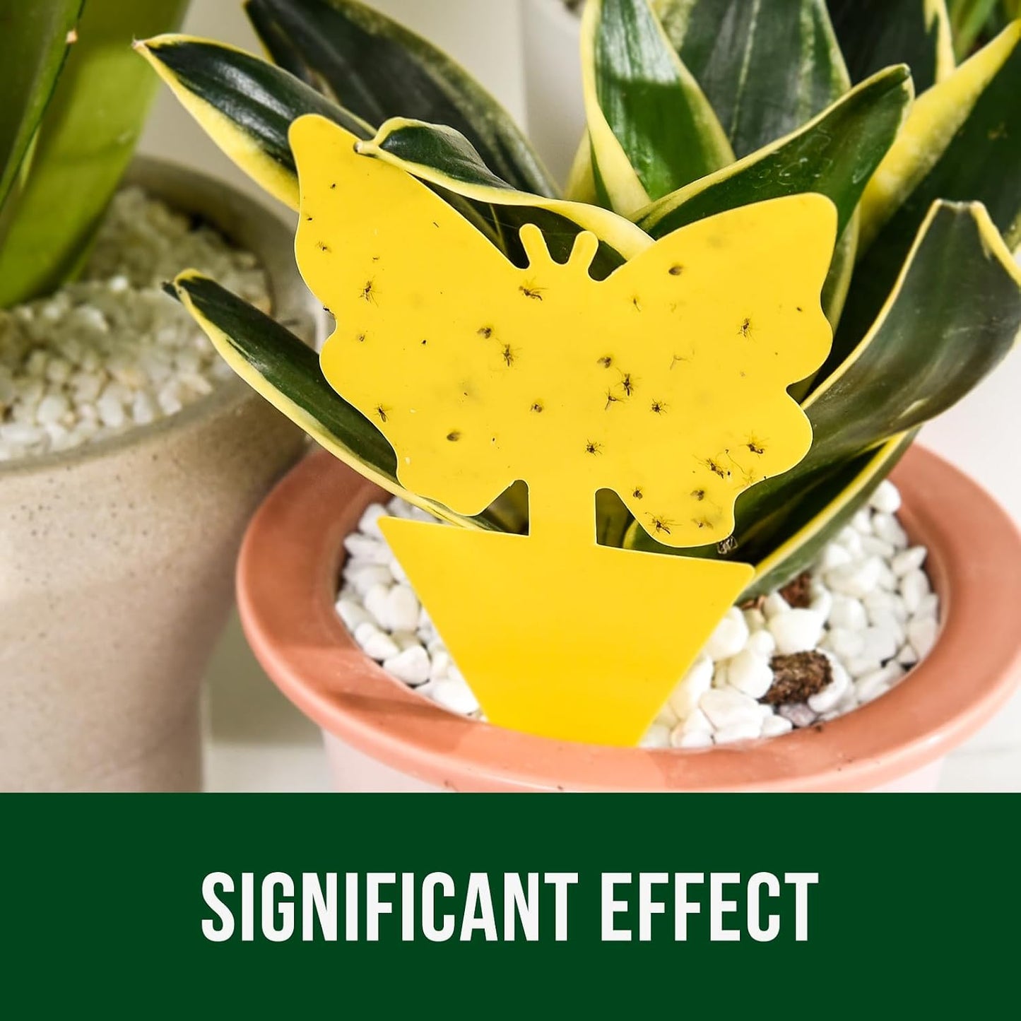 24 Pack Yellow Sticky Fruit Fly Traps – Fungus Gnat & Flying Insect Catchers for Indoor & Outdoor Plants