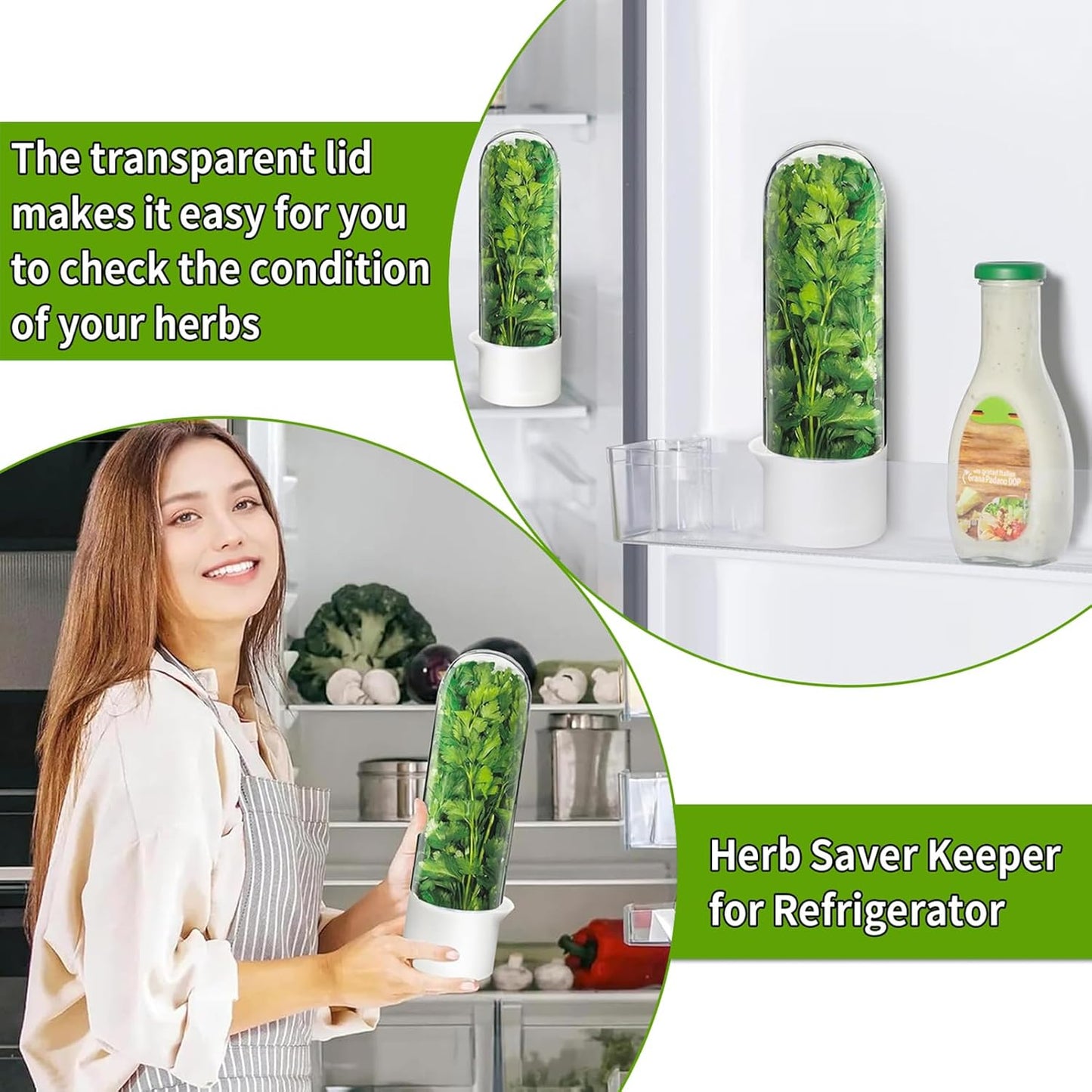 Herb Saver for Refrigerator – Fresh Herb Keeper & Storage Container for Cilantro, Basil, Asparagus & More