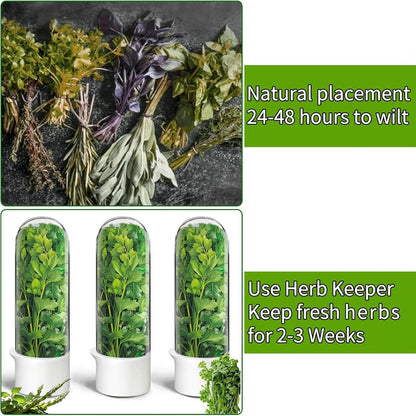 Herb Saver for Refrigerator – Fresh Herb Keeper & Storage Container for Cilantro, Basil, Asparagus & More