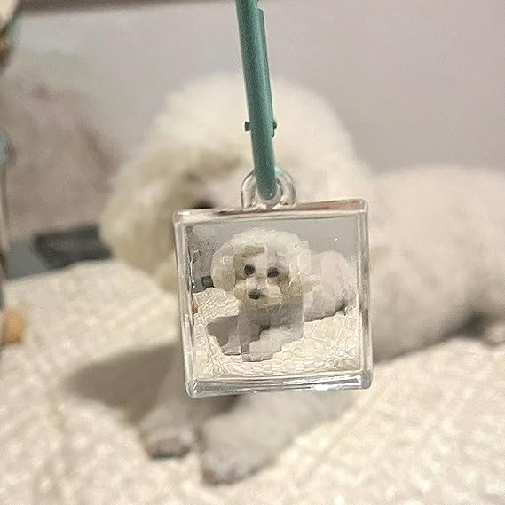 Funny Pixelated Lens for Pixel View Effect