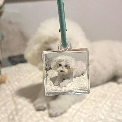 Funny Pixelated Lens for Pixel View Effect