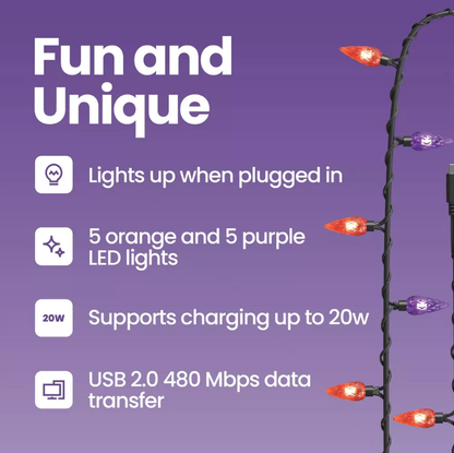 LED Festive Bulb Cables Charging Cable USB-C