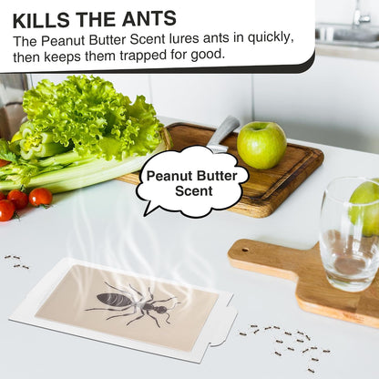 Ant Spider Cockroach Trap Peanut Butter Scented