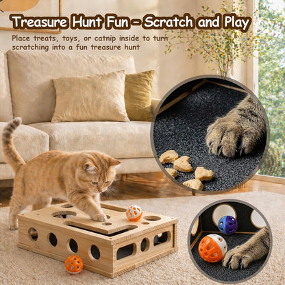 Cat Scratch Puzzle Enrichment Box