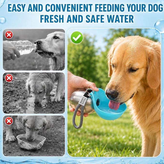 Portable Dog Water Bottle – 10 oz Leak-Proof Stainless Steel