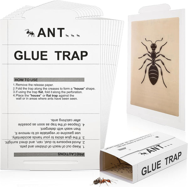 Ant Spider Cockroach Trap Peanut Butter Scented
