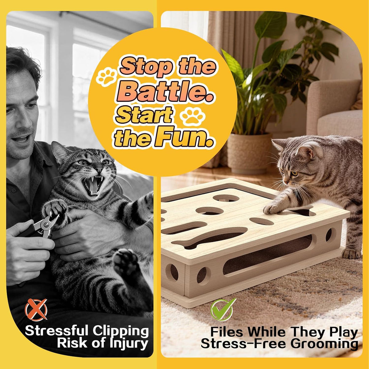 Cat Scratch Puzzle Enrichment Box